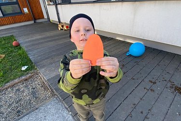 Obrázek č.25